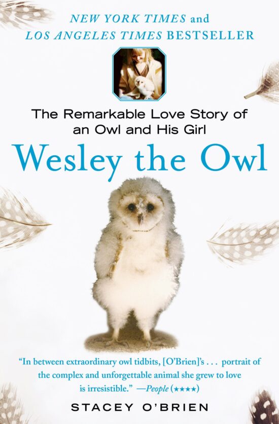 Wesley the Owl The Remarkable Love Story of an Owl and His Girl