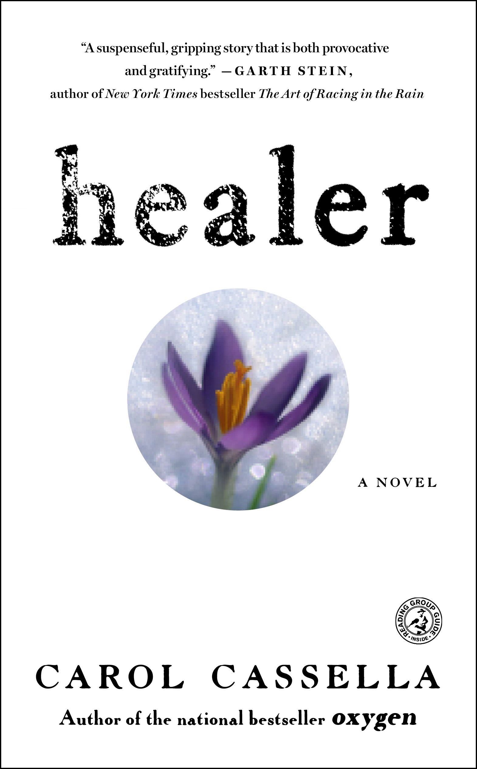 Healer A Novel