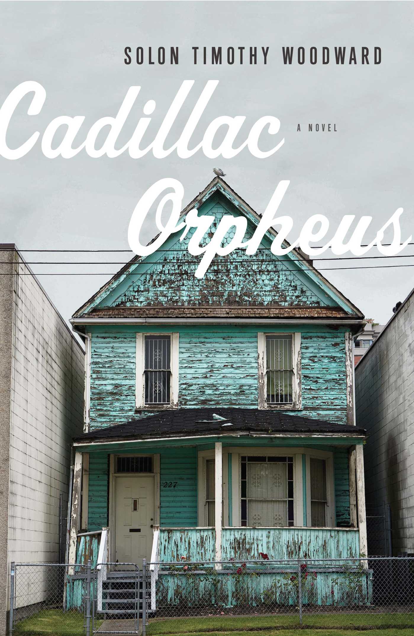 Cadillac Orpheus A Novel