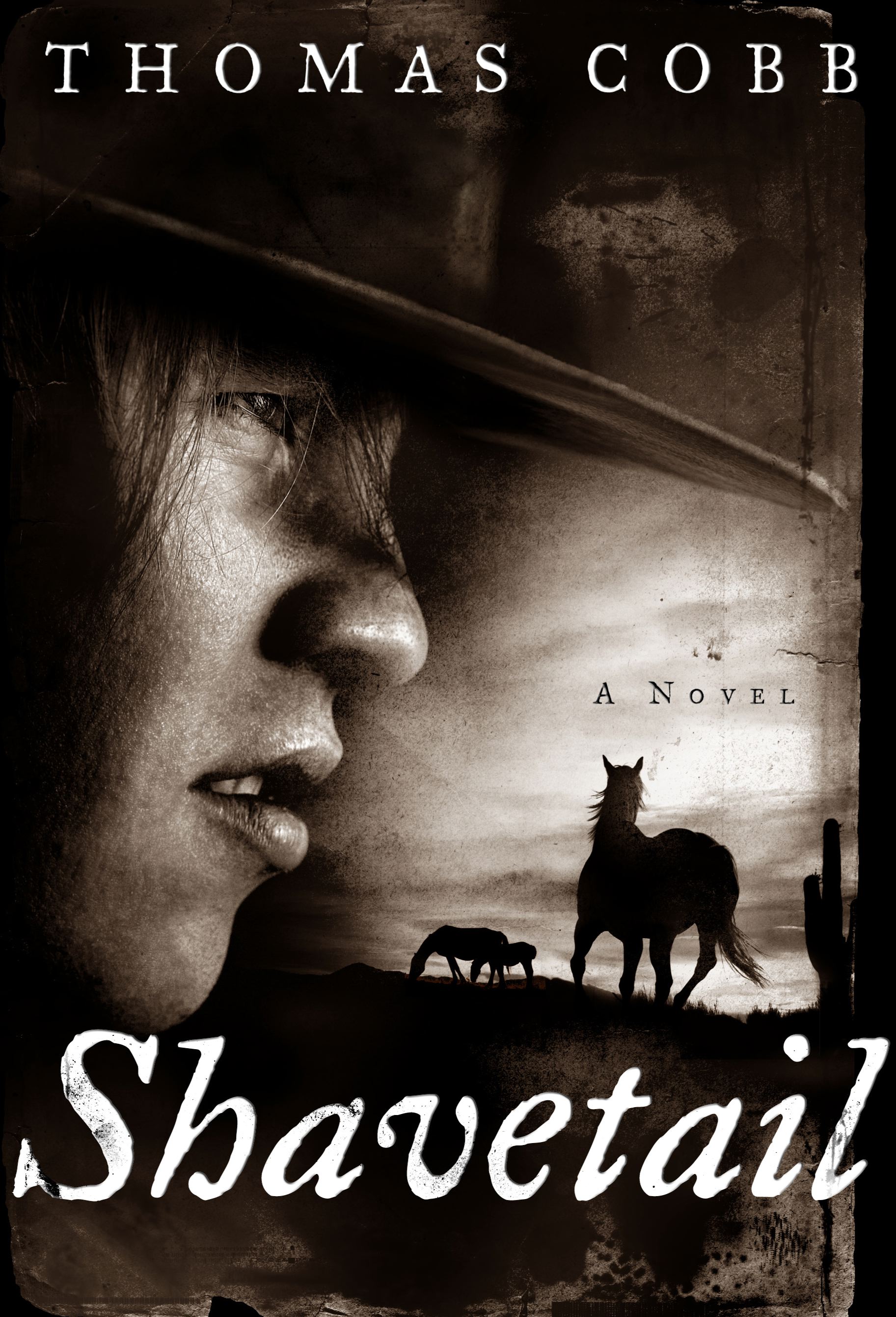 Shavetail A Novel