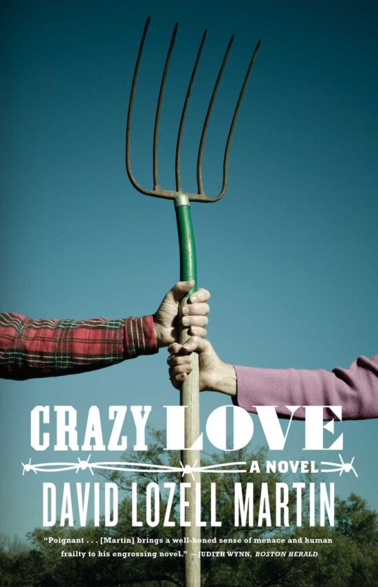 Crazy Love A Novel