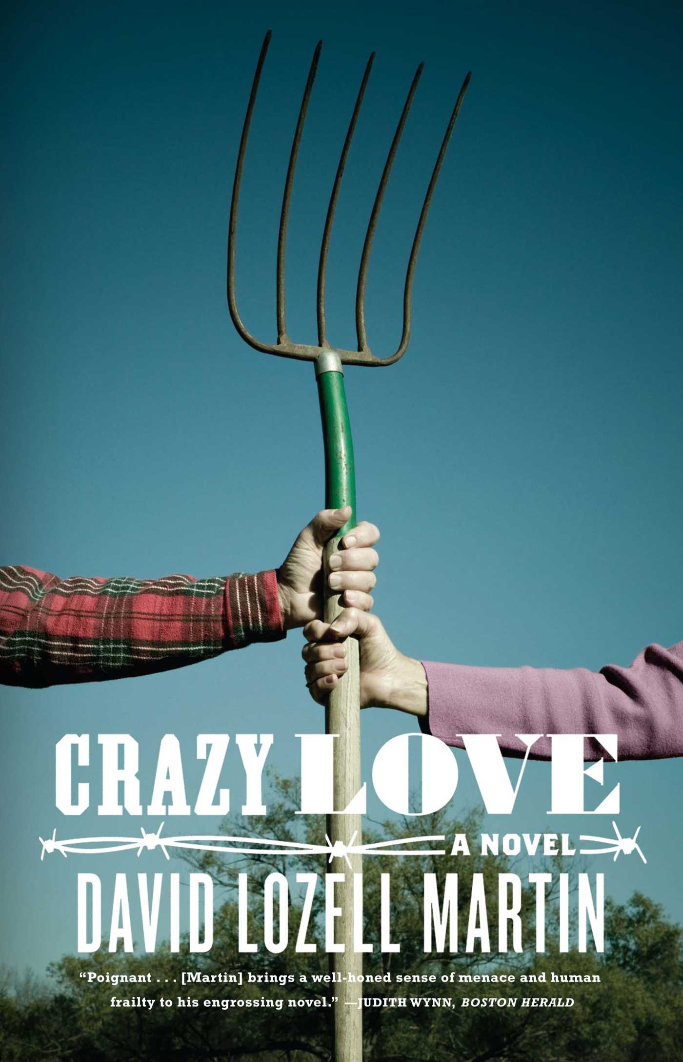 Crazy Love A Novel