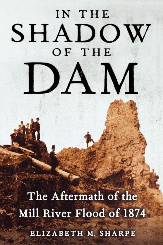 In the Shadow of the Dam The Aftermath of the Mill River Flood of 1874