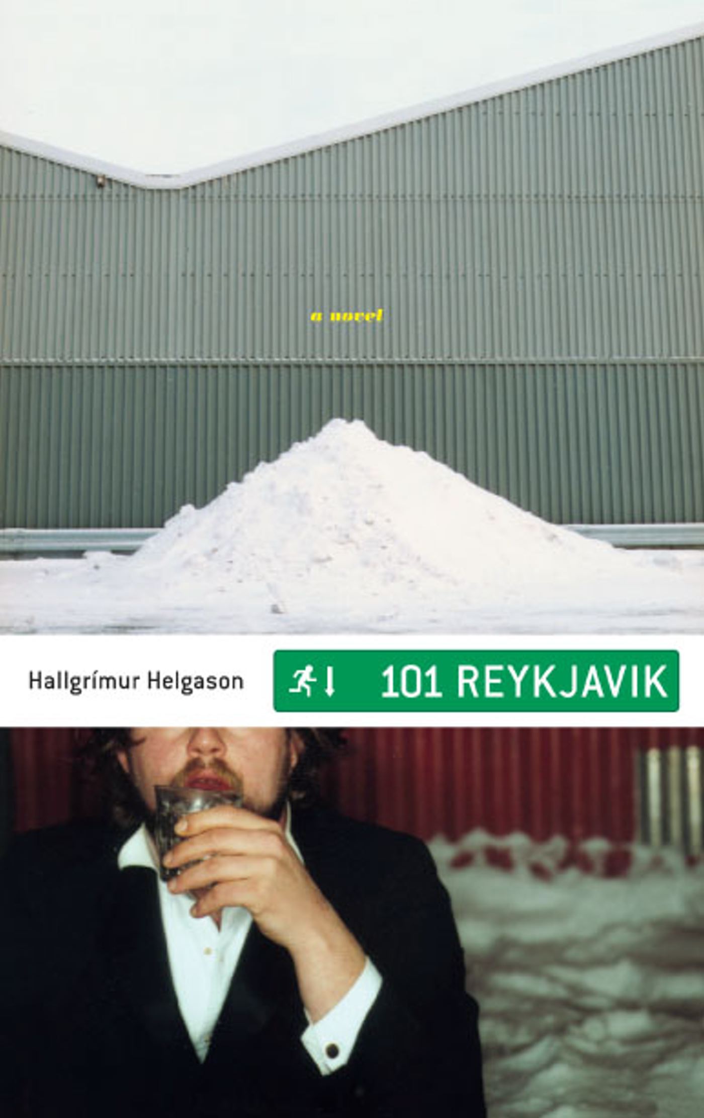 101 Reykjavik A Novel