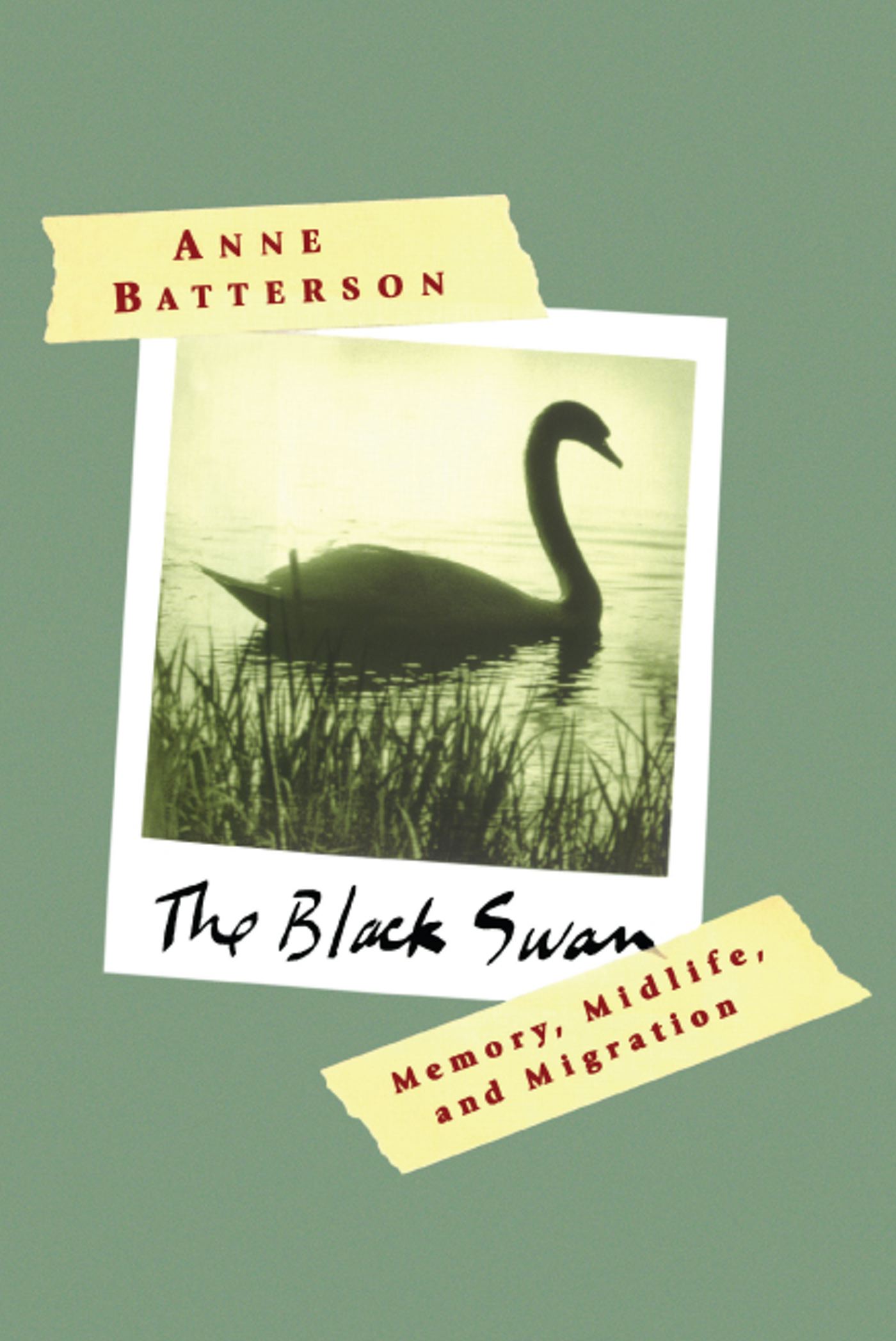 The Black Swan  Memory, Midlife, and Migration