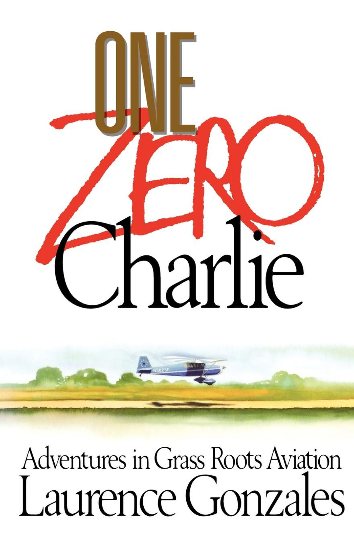 One Zero Charlie Adventures in Grass Roots Aviation