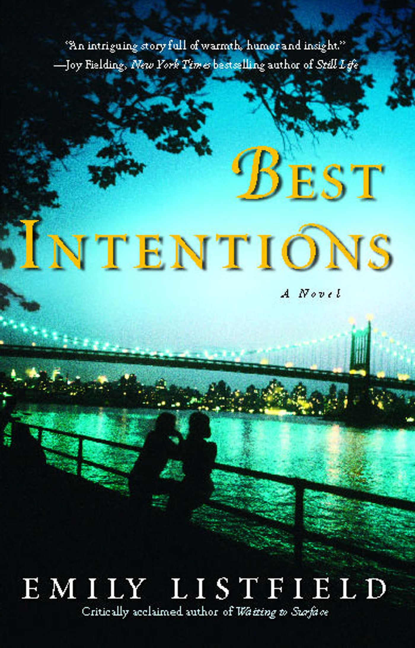 Best Intentions A Novel