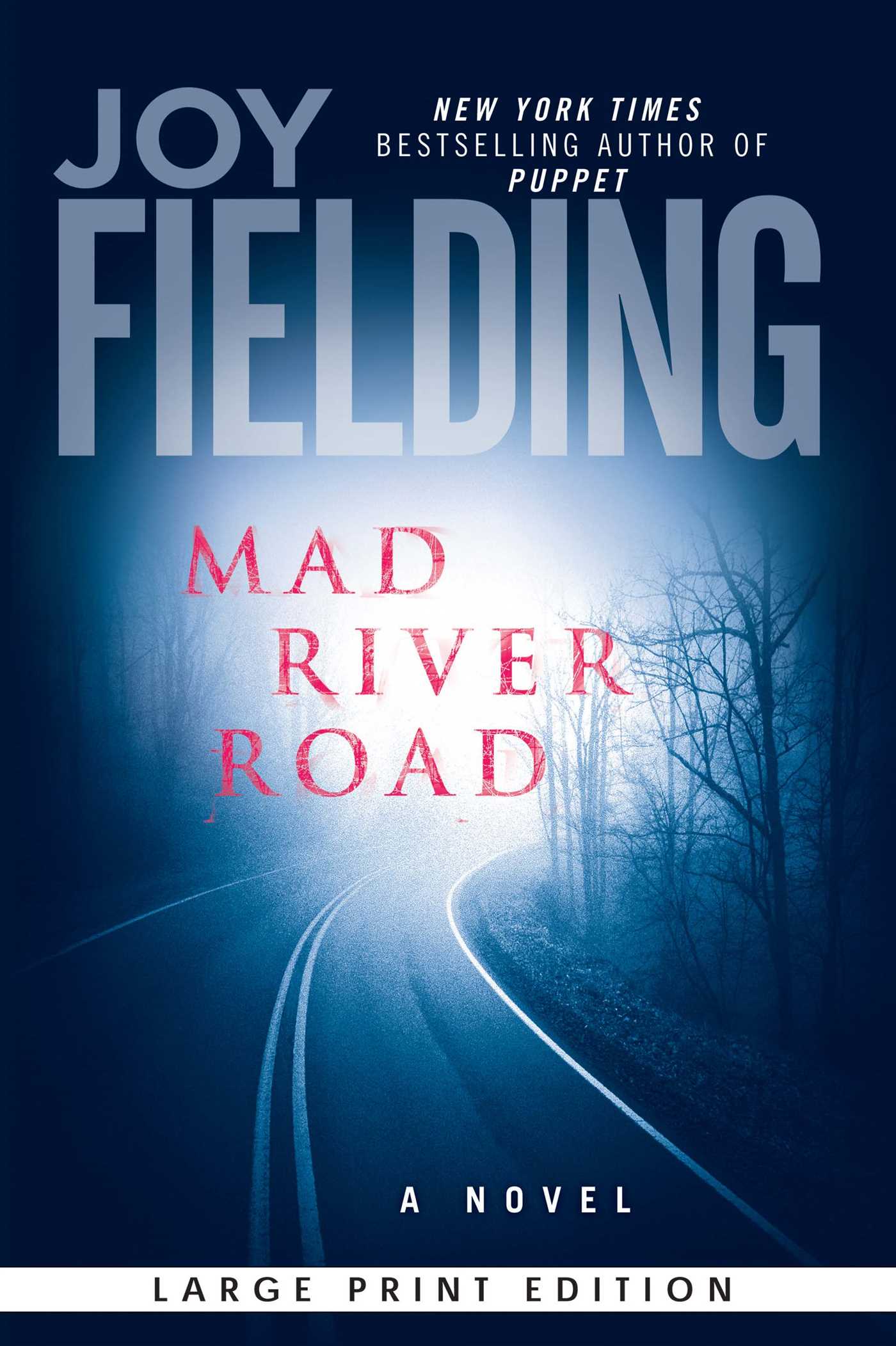 Mad River Road A Novel