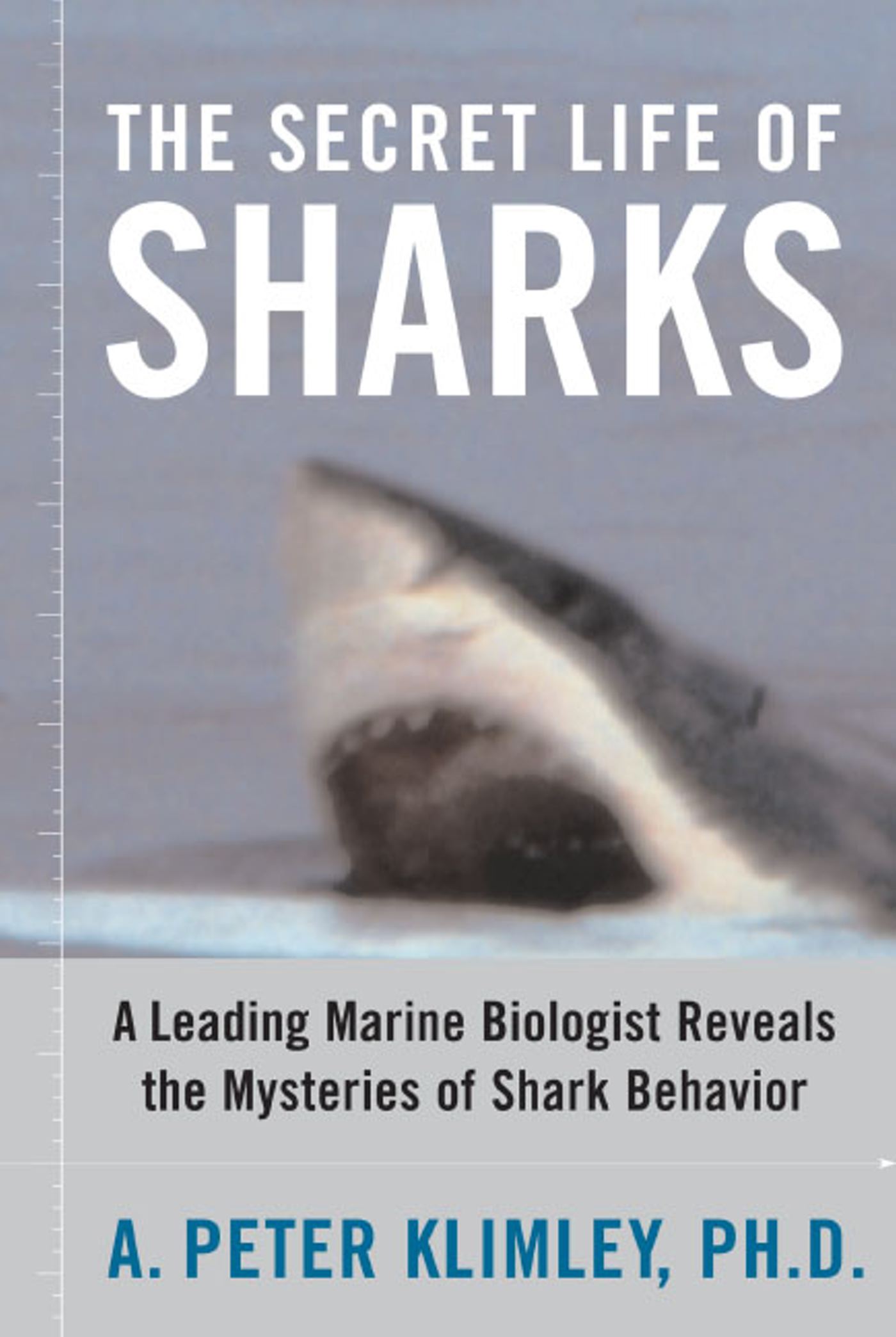 The Secret Life of Sharks  A Leading Marine Biologist Reveals the Mysteries of Shark Behavior