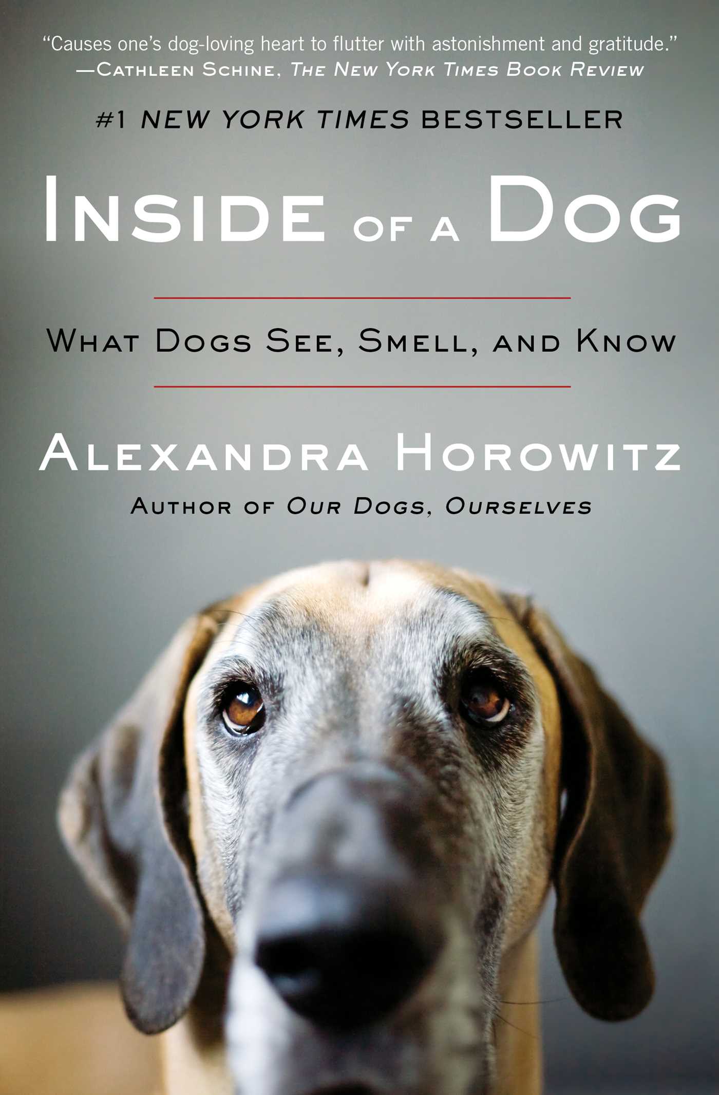 Inside of a Dog What Dogs See, Smell, and Know