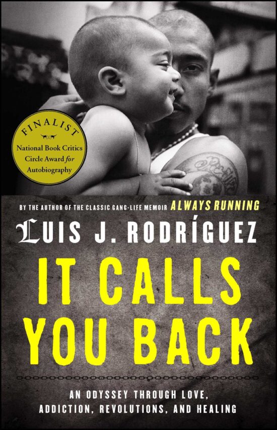 It Calls You Back An Odyssey through Love, Addiction, Revolutions, and Healing