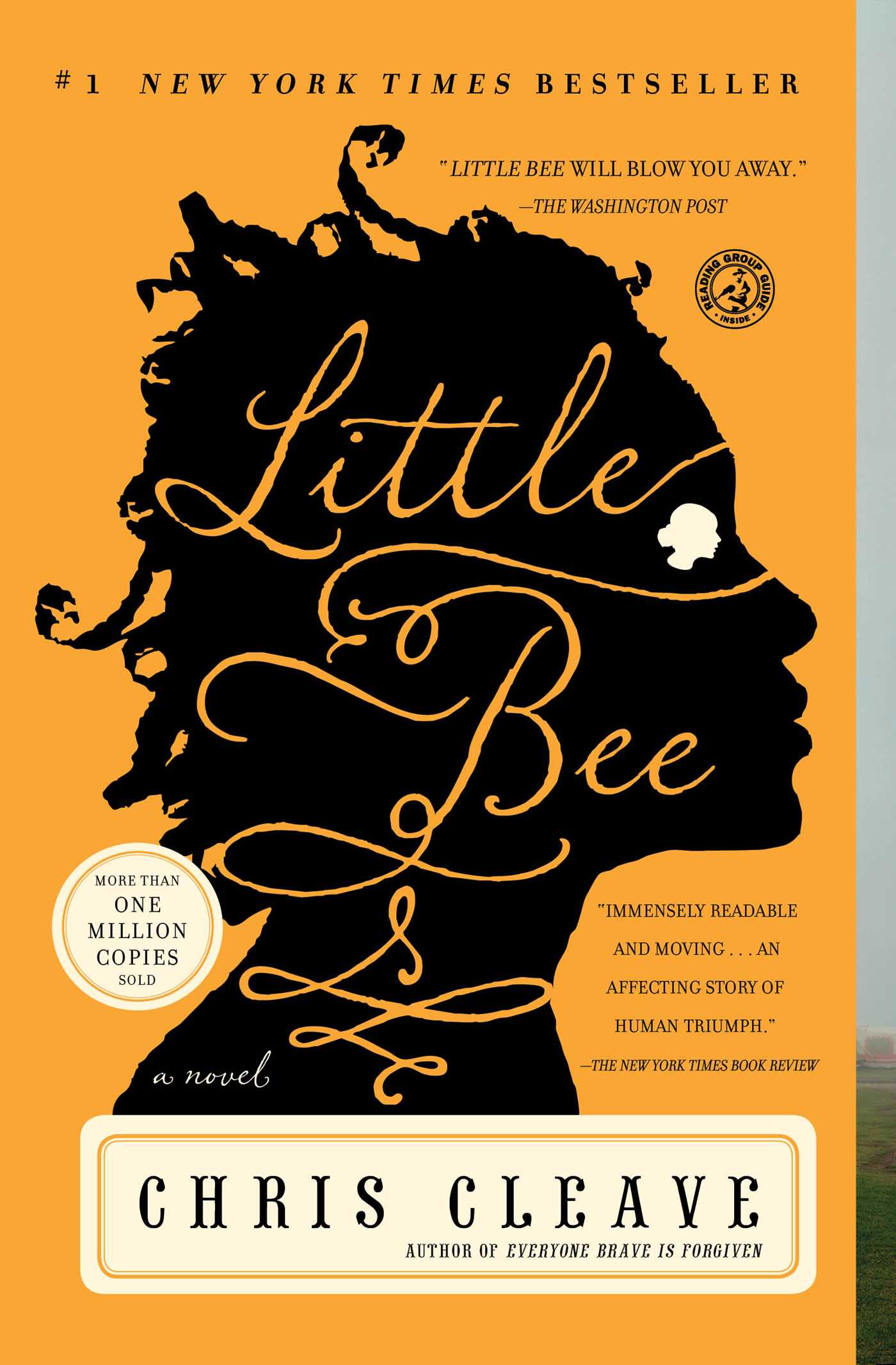Little Bee A Novel