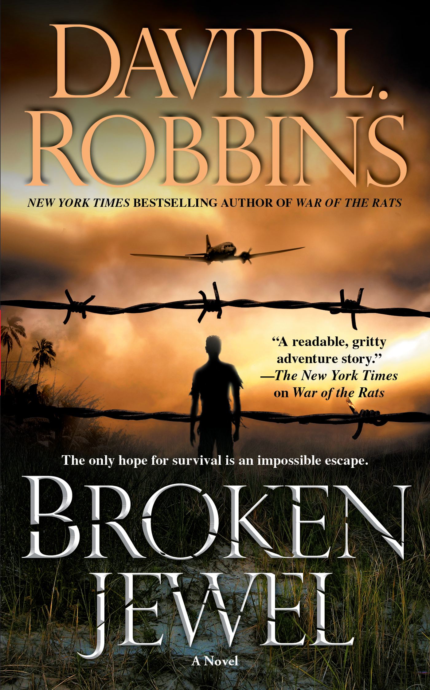 Broken Jewel A Novel