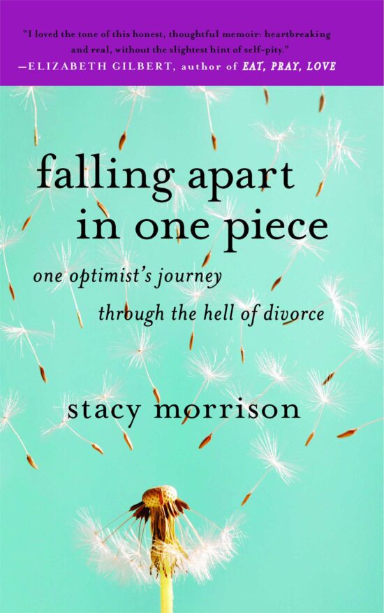 Falling Apart in One Piece One Optimist's Journey Through the Hell of Divorce