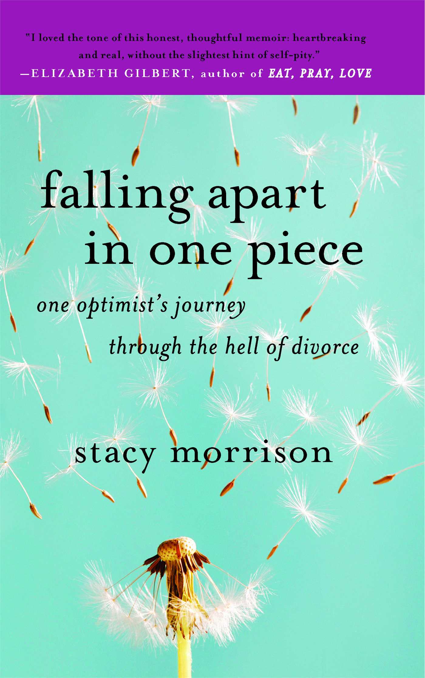 Falling Apart in One Piece One Optimist's Journey Through the Hell of Divorce