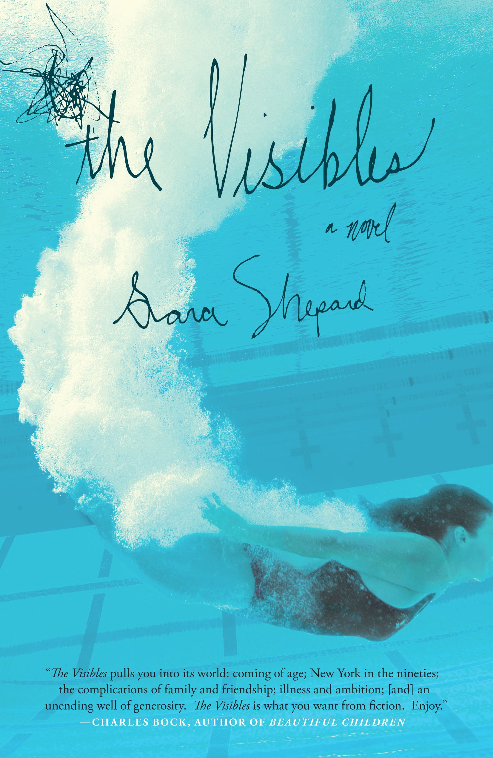 The Visibles  A Novel