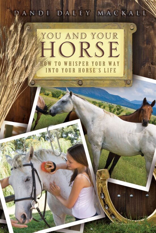 You and Your Horse How to Whisper Your Way into Your Horse's Life