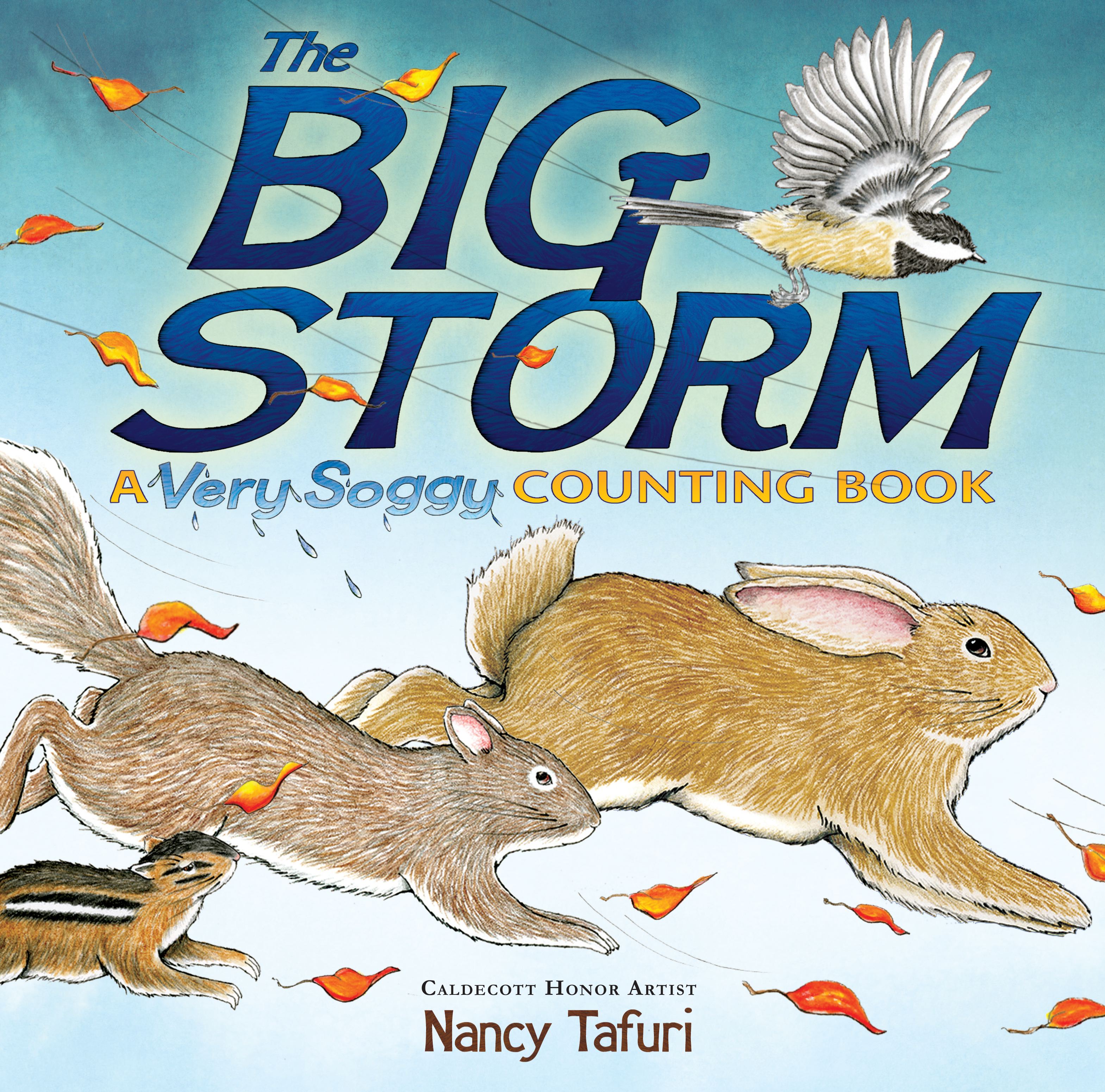 The Big Storm  A Very Soggy Counting Book