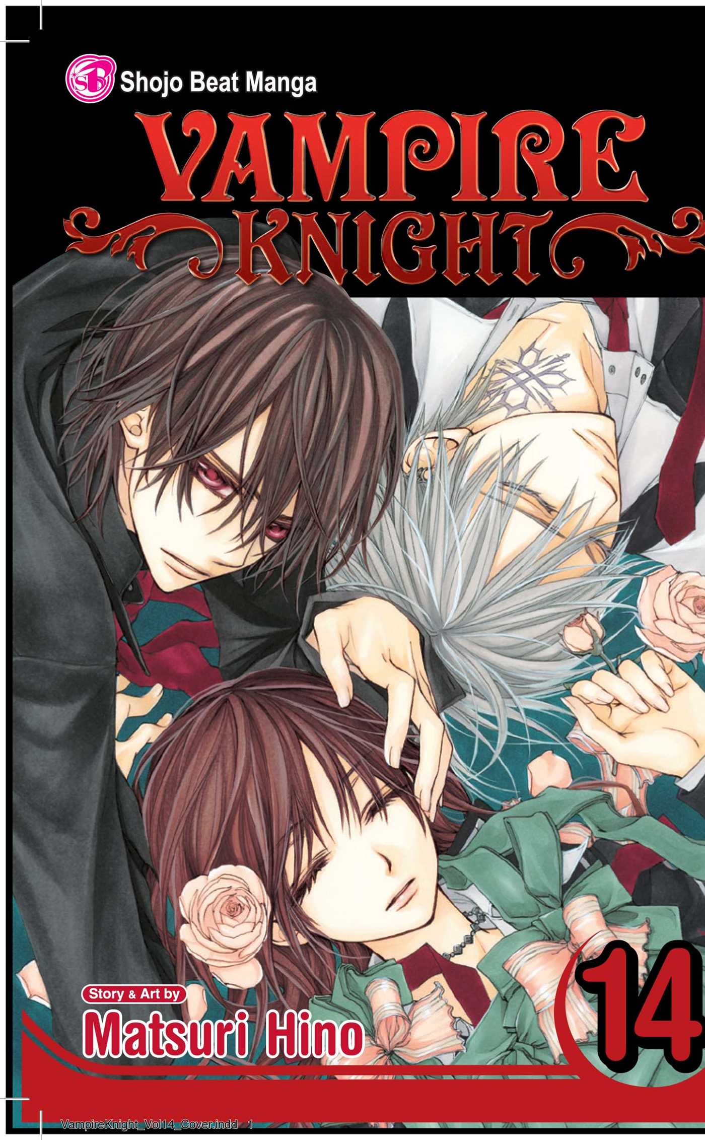 Vampire Knight, Vol Vampire Knight, Vol. 14