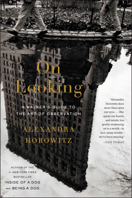On Looking: A Walker's Guide to the Art of Observation