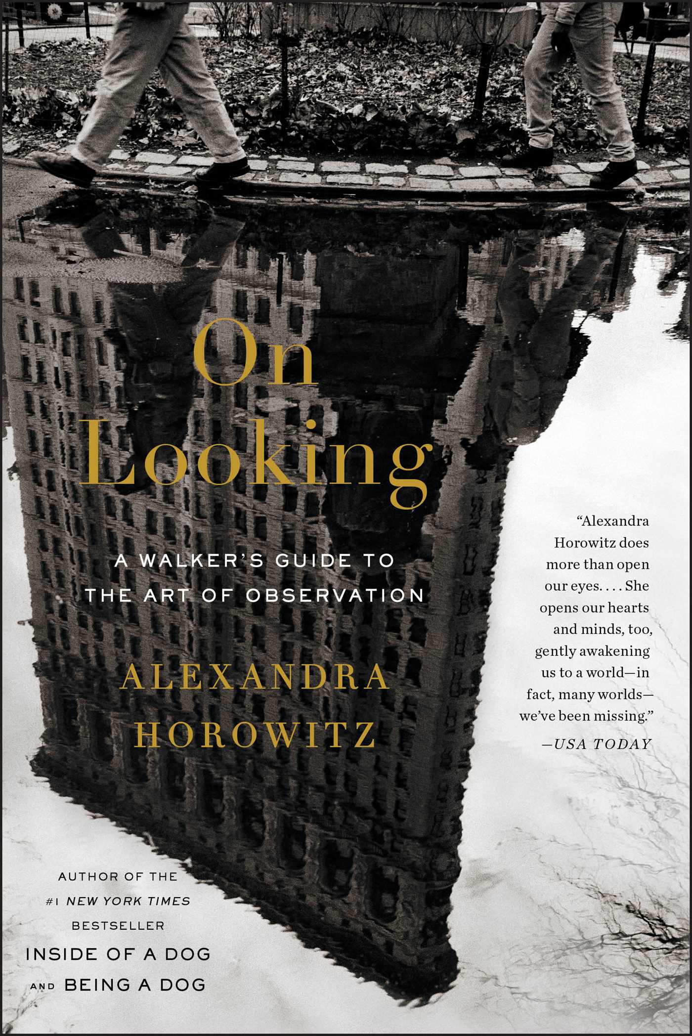 On Looking: A Walker's Guide to the Art of Observation