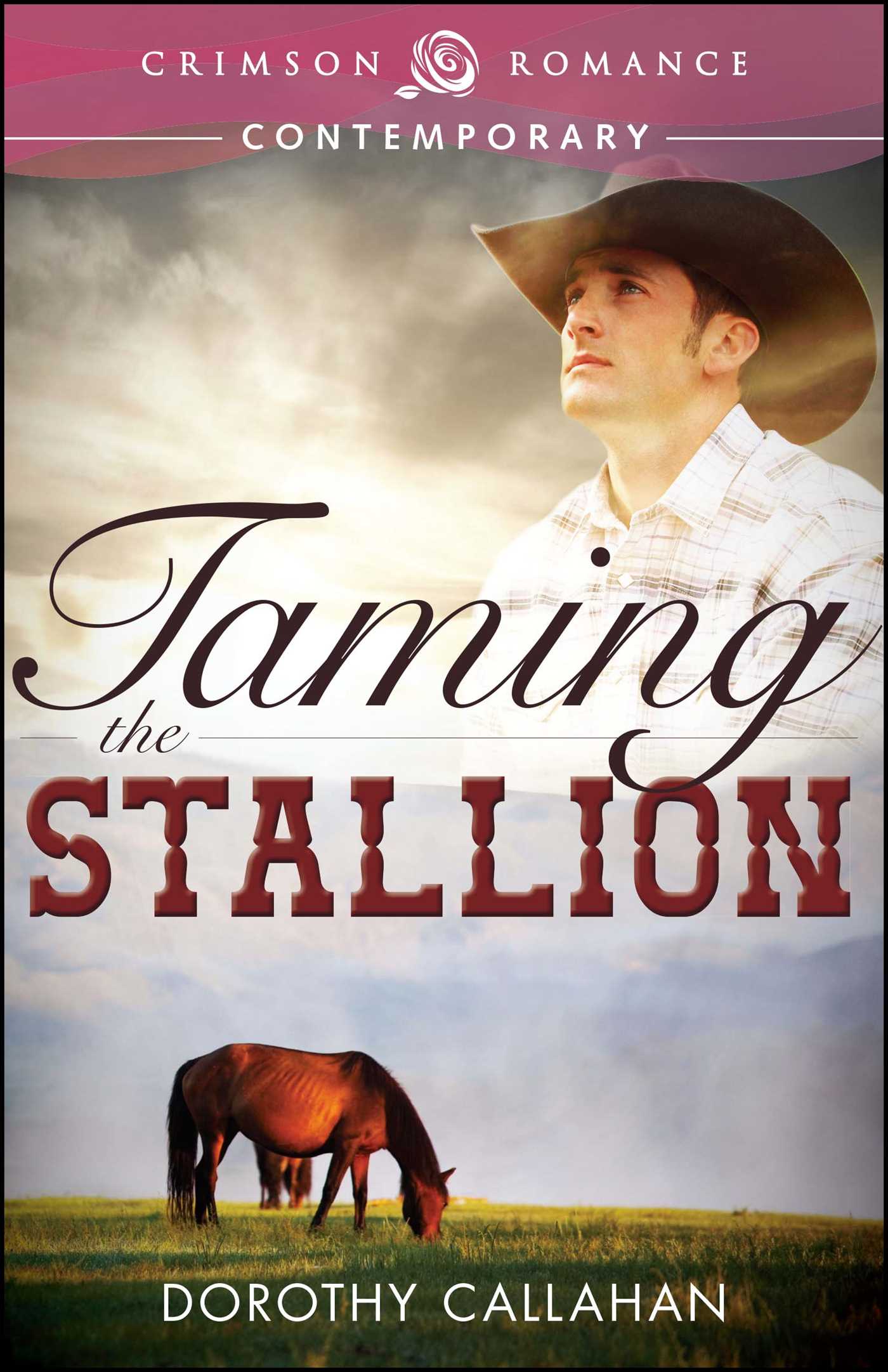 Taming The Stallion