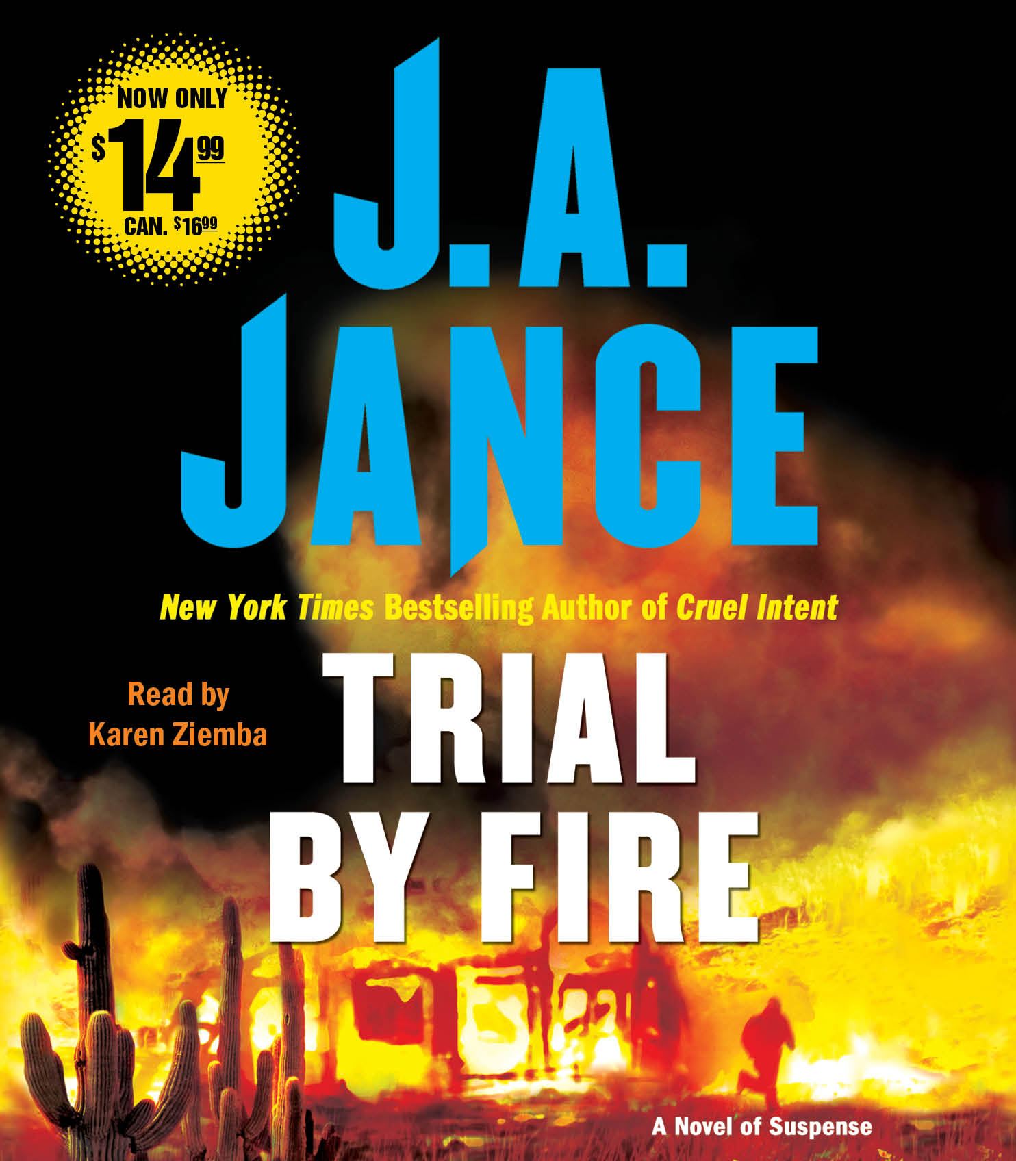 Trial By Fire: A Novel of Suspense
