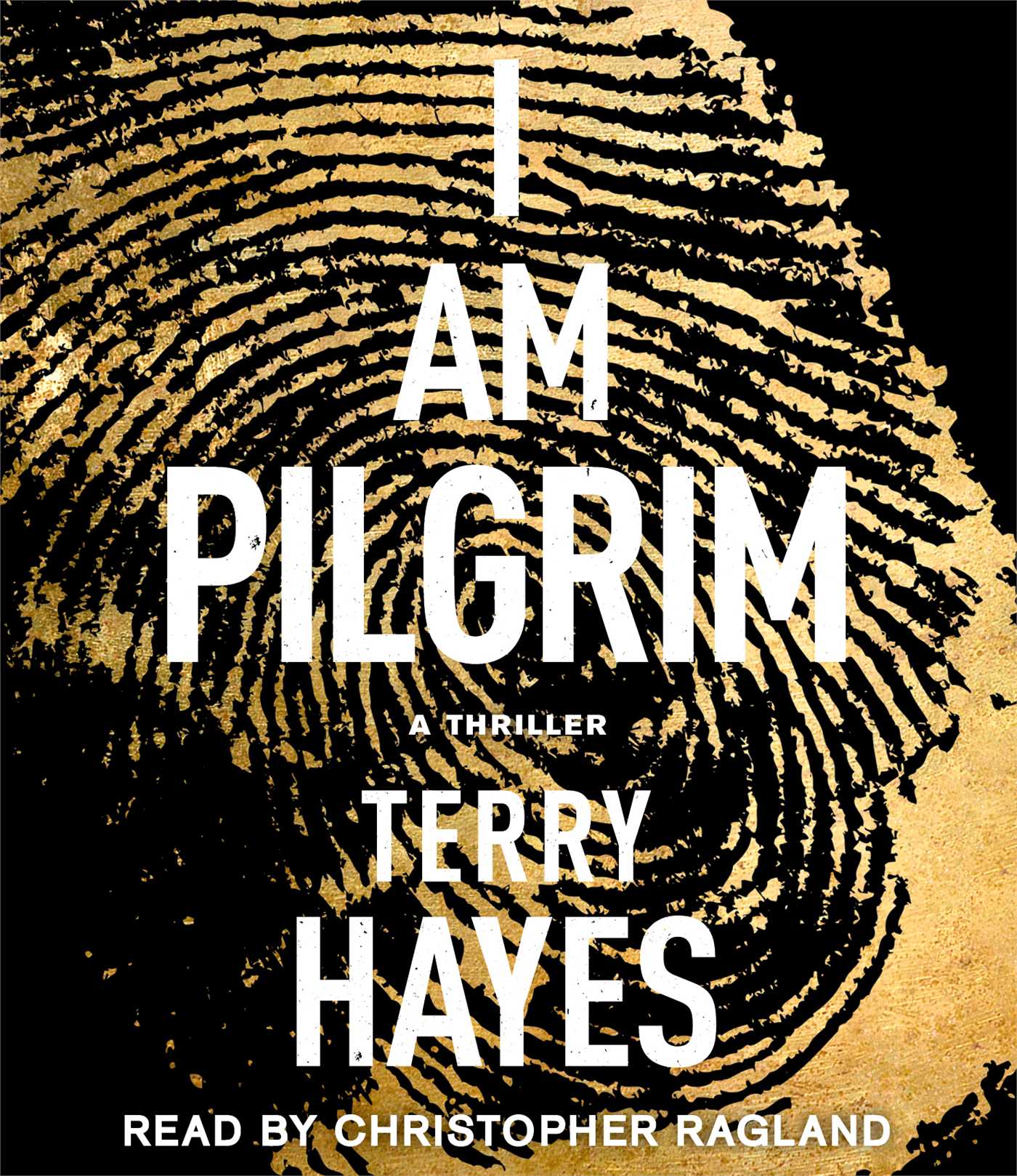 I Am Pilgrim: A Thriller