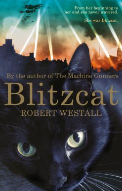 Blitzcat