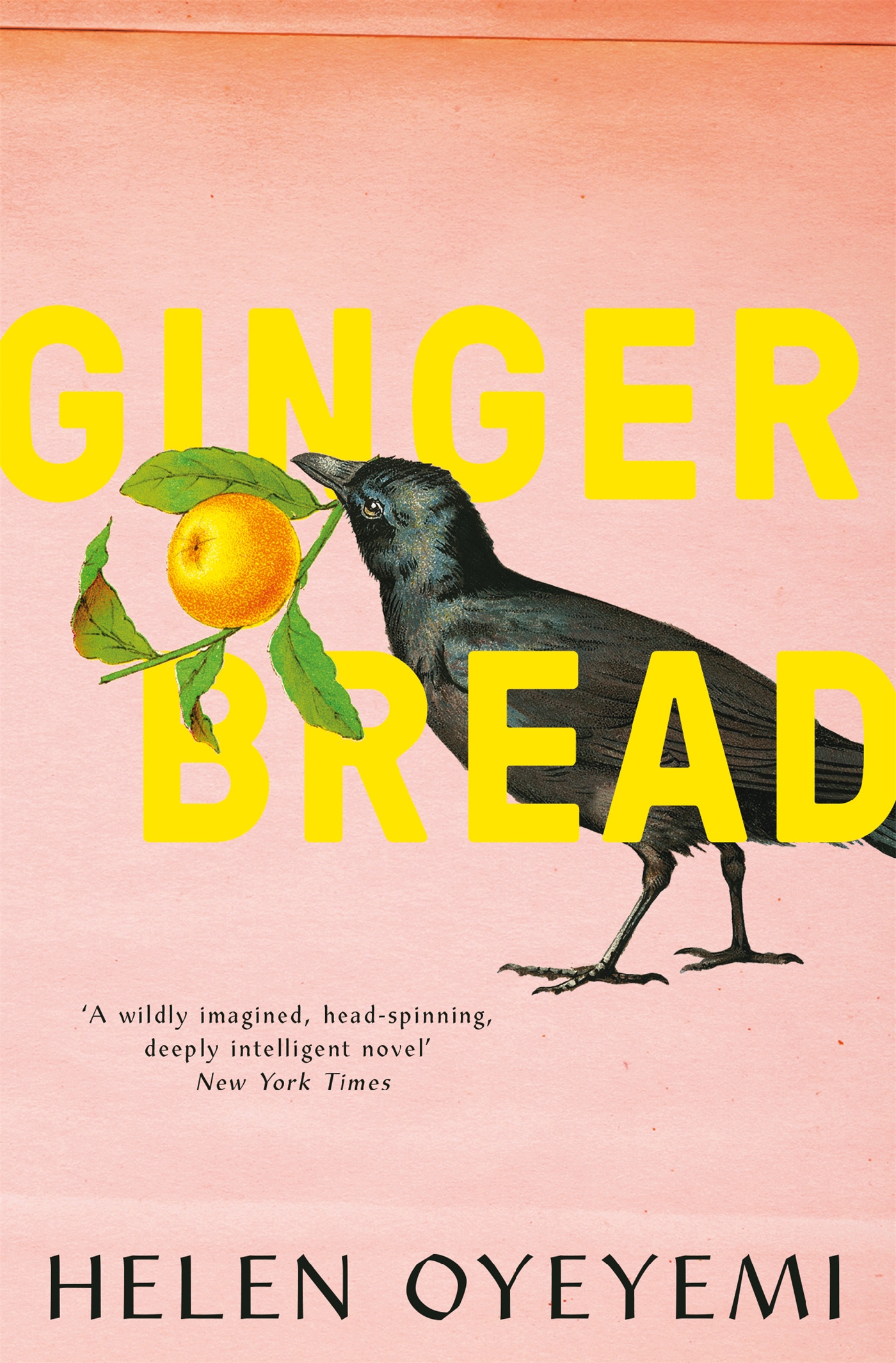 Gingerbread 1 Gingerbread