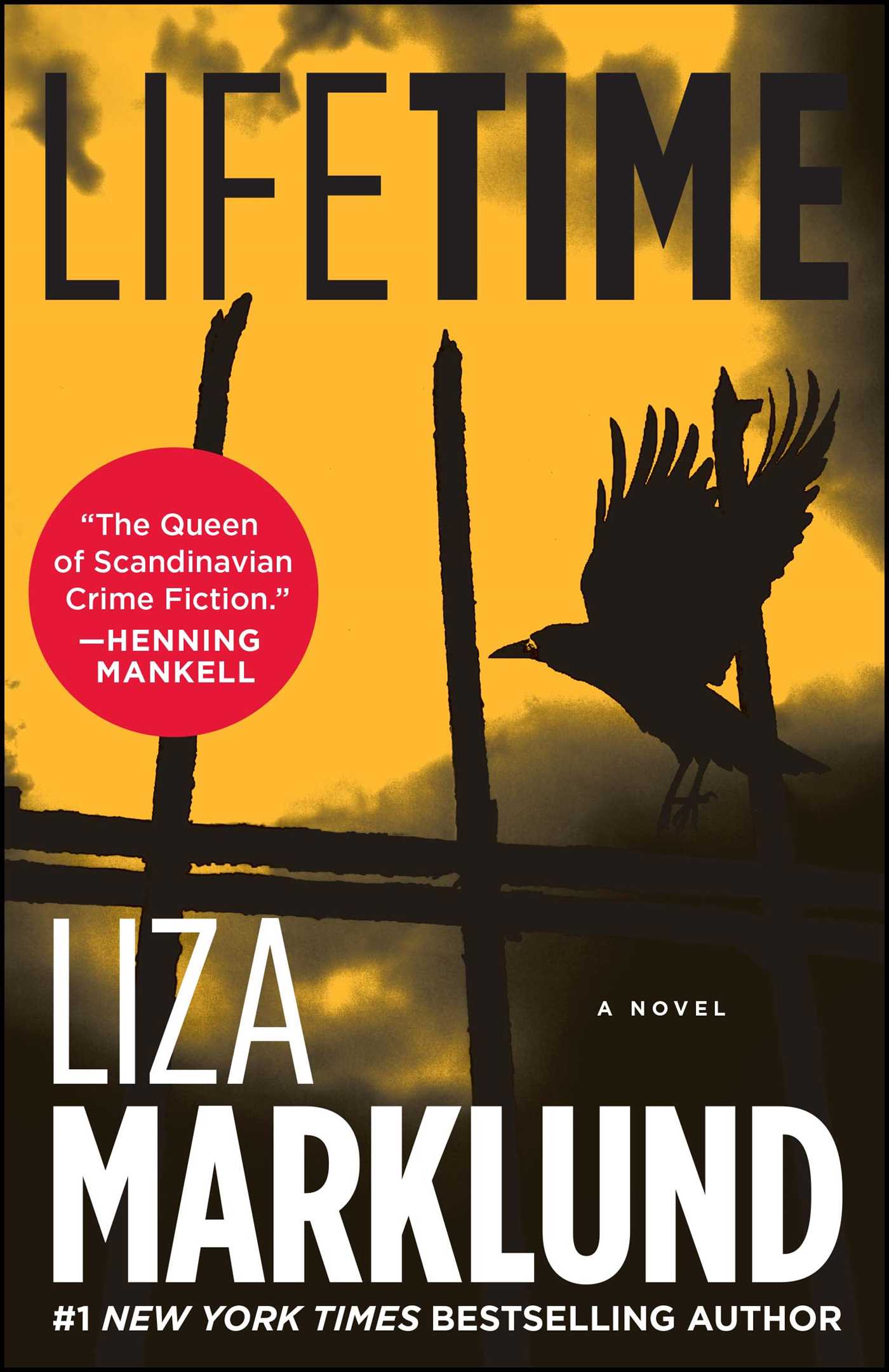 Lifetime: A Novel