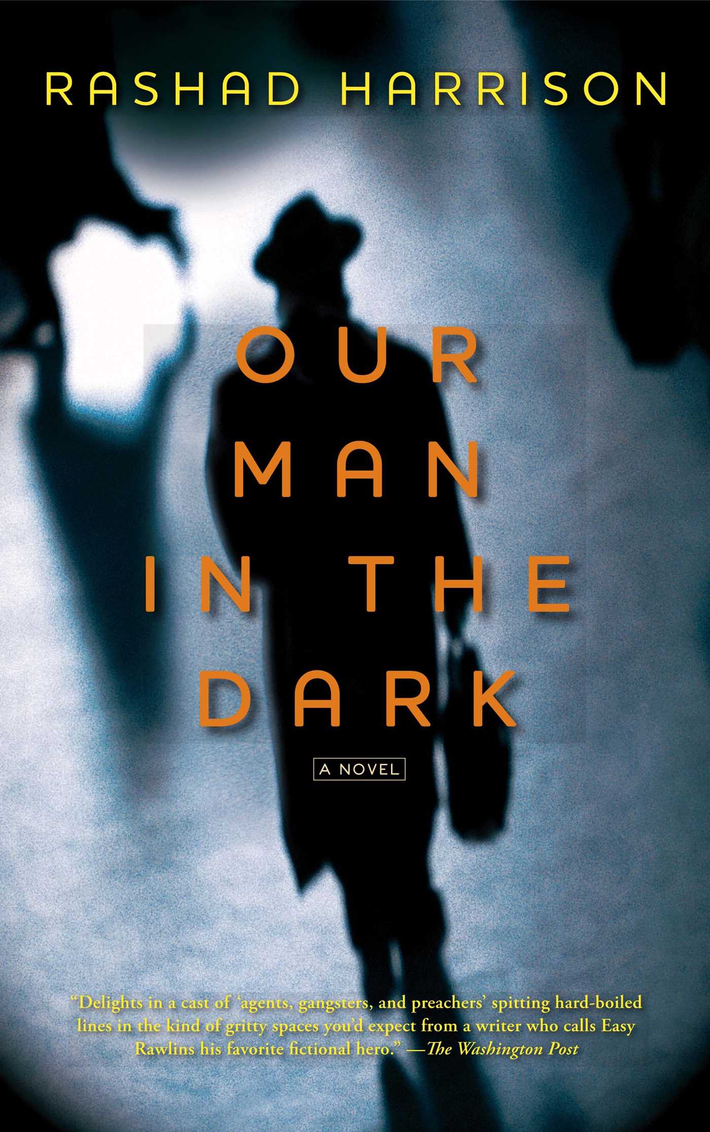 Our Man in the Dark: A Novel