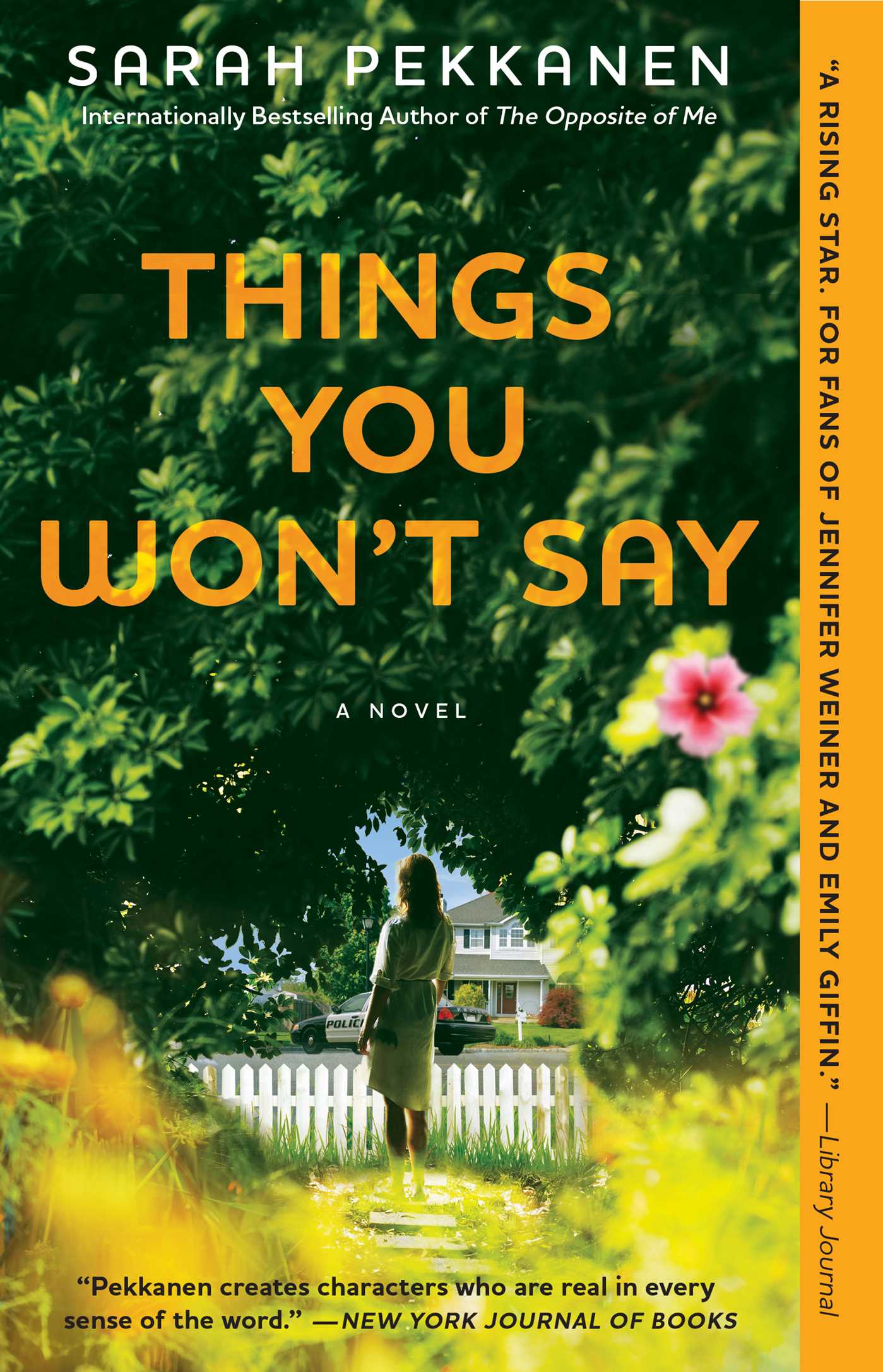 Things You Won't Say: A Novel 1 Things You Won't Say: A Novel