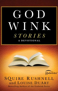Godwink Stories: A Devotional