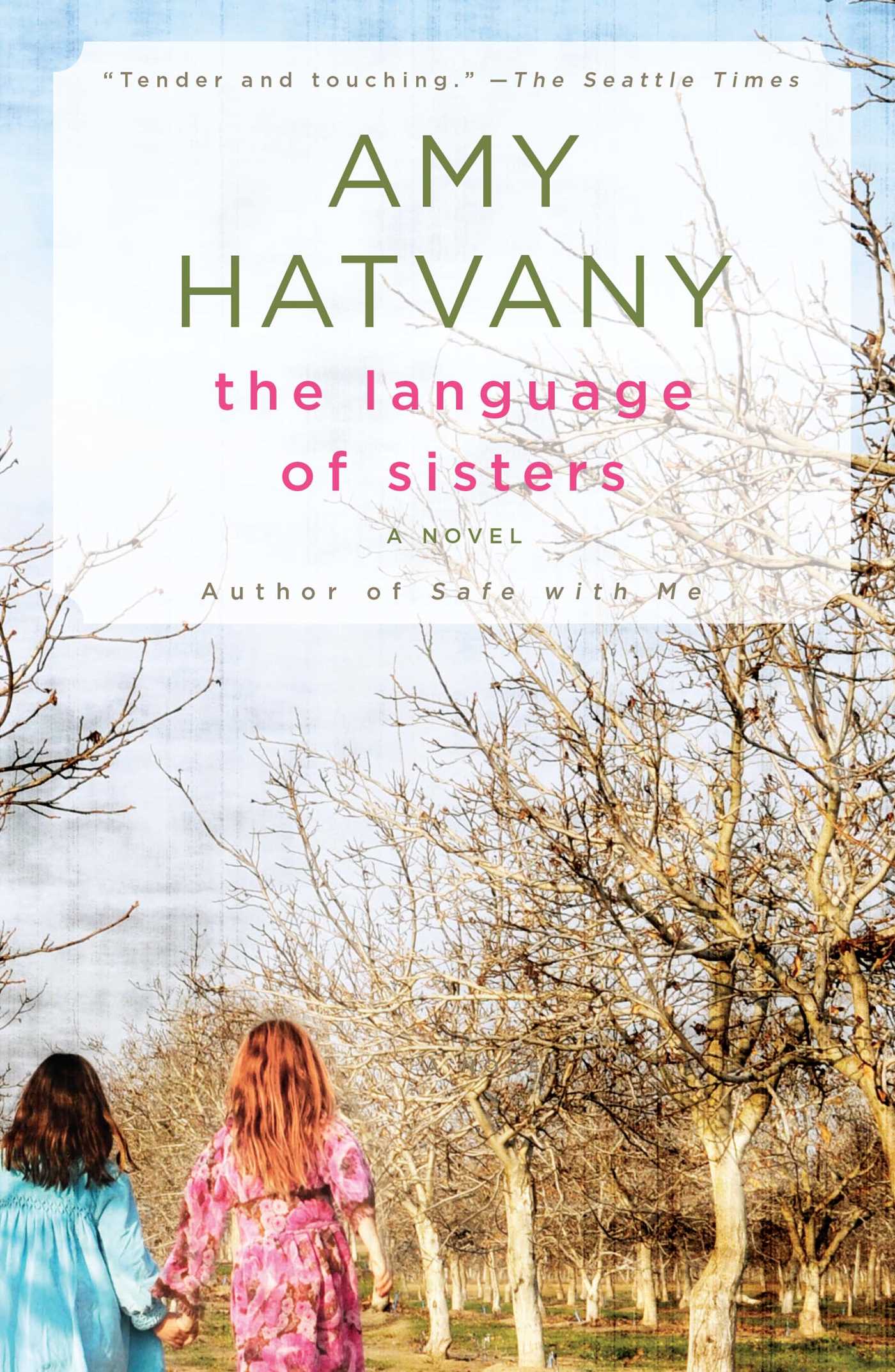 The Language of Sisters: A Novel