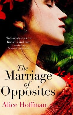 The Marriage of Opposites