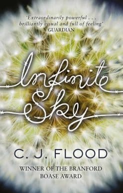 Infinite Sky