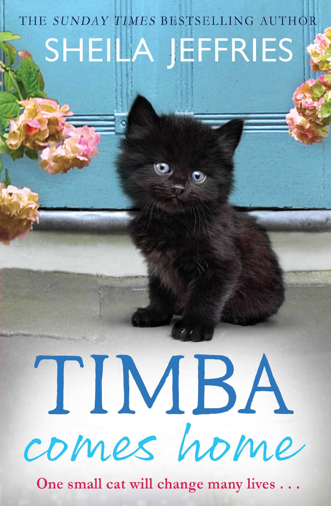 Timba Comes Home 1 Timba Comes Home