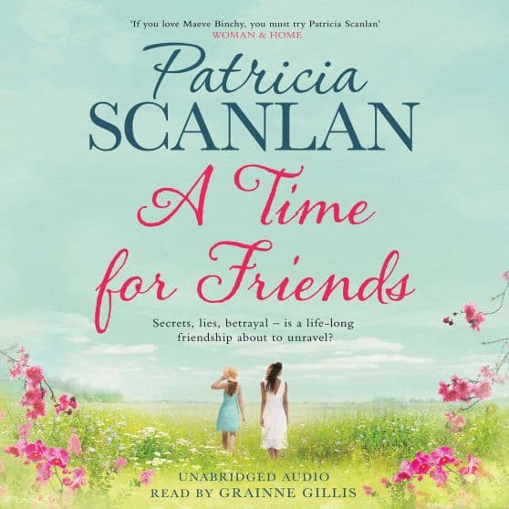A Time For Friends: Warmth, wisdom and love on every page - if you treasured Maeve Binchy, read Patricia Scanlan