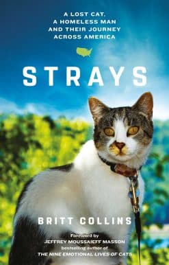 Strays: The True Story of a Lost Cat, a Homeless Man and Their Journey Across America