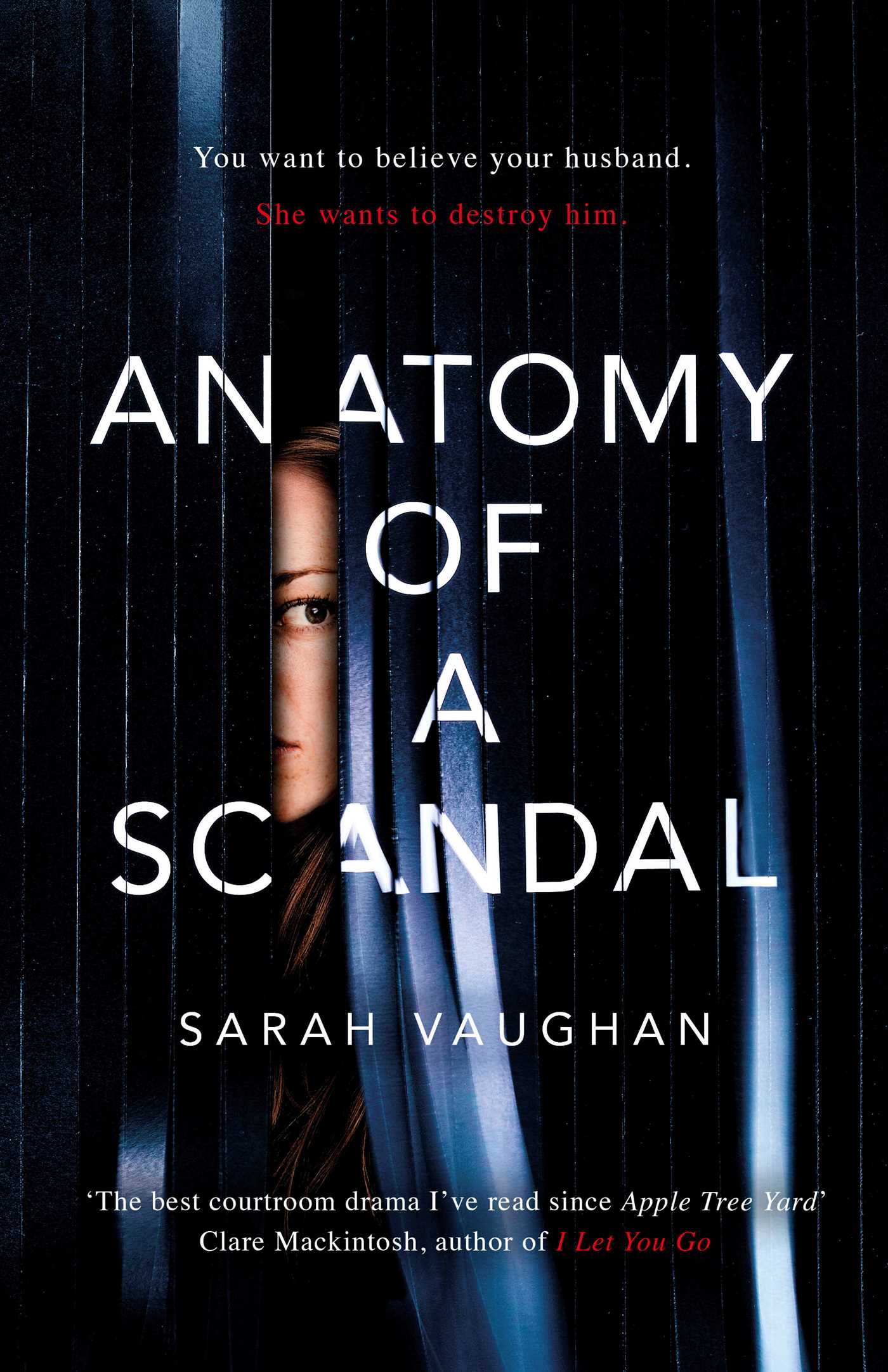 Anatomy of a Scandal: Now a major Netflix series 1 Anatomy of a Scandal: Now a major Netflix series