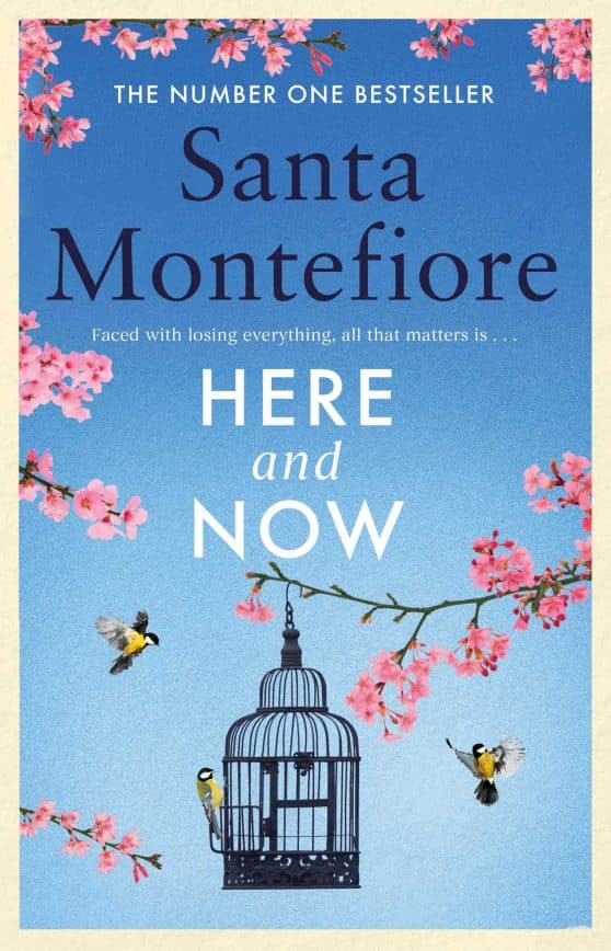 Here and Now: Evocative, emotional and full of life, the most moving book you'll read this year