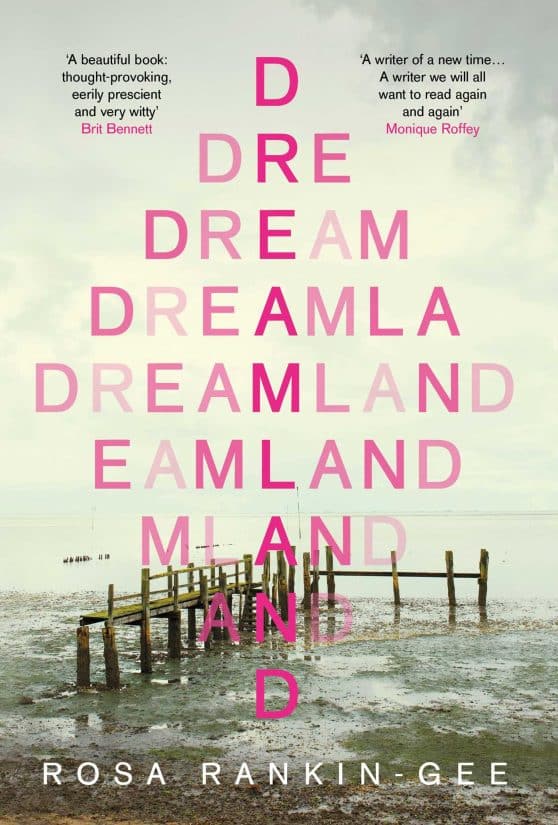 Dreamland: An Evening Standard 'Best New Book' of 2021