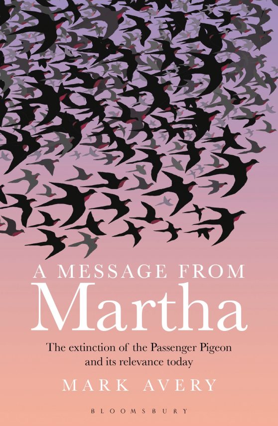 A Message from Martha: The Extinction of the Passenger Pigeon and Its Relevance Today