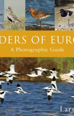Waders of Europe