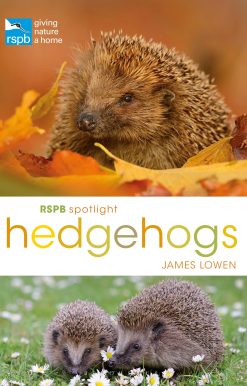 RSPB Spotlight Hedgehogs