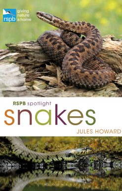 RSPB Spotlight Snakes