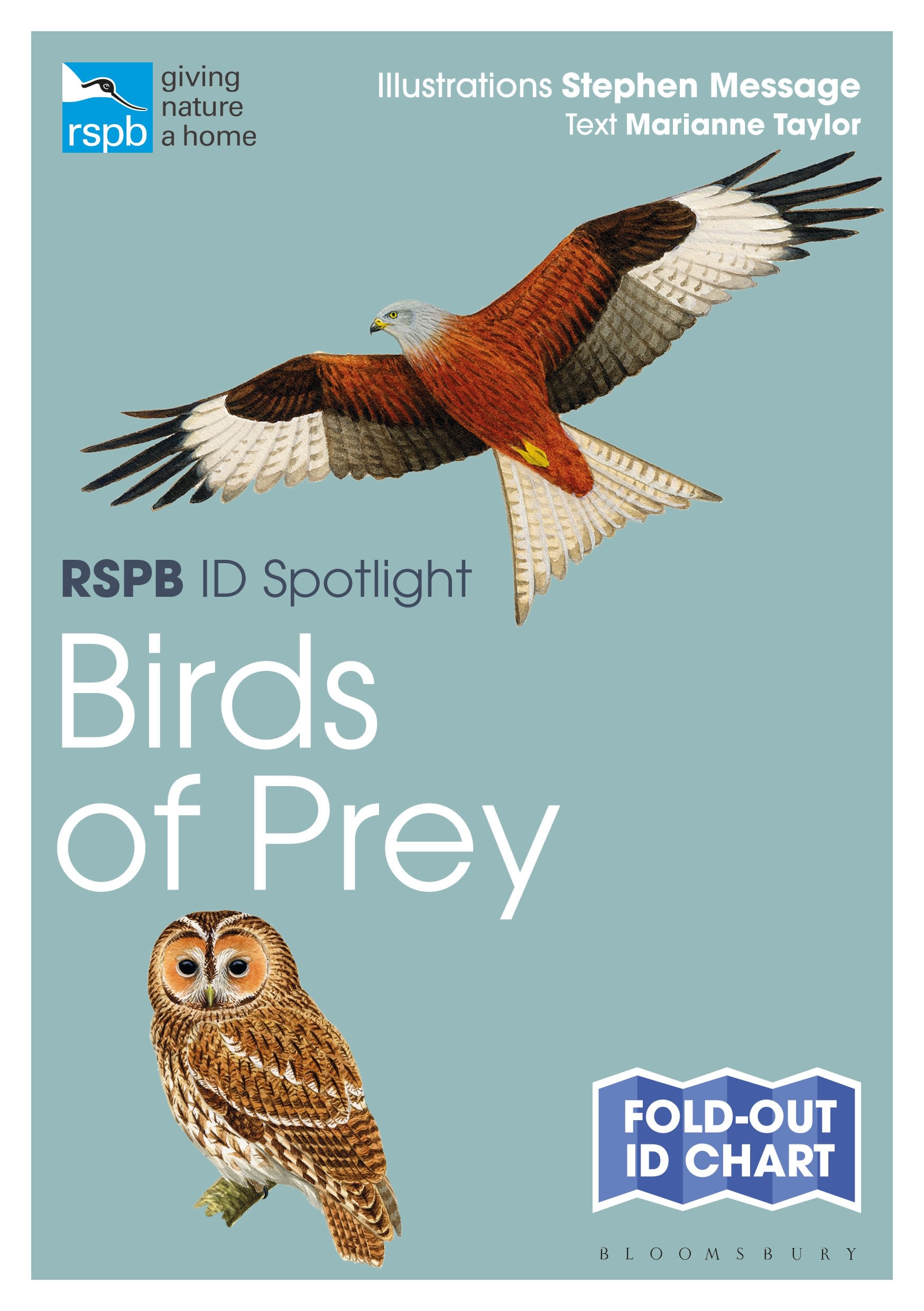 RSPB ID Spotlight - Birds of Prey 1 RSPB ID Spotlight - Birds of Prey