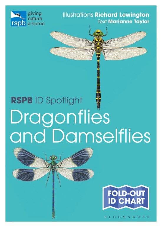 RSPB ID Spotlight - Dragonflies and Damselflies