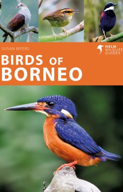 Birds of Borneo